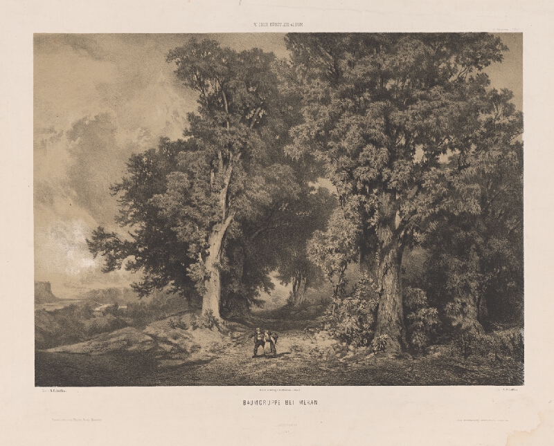 August‏ Schaeffer von Wienwald – Skupina stromov pri Merane 