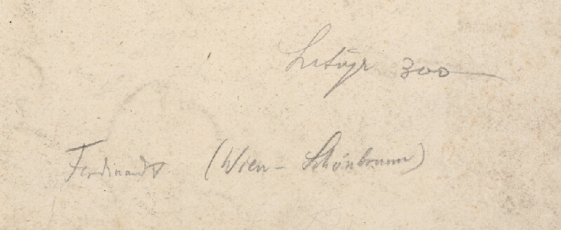 Frantz Wolf, Johann Nepomuk Höchle – Kráľ Ferdinand V. víta Máriu Annu Savojskú  