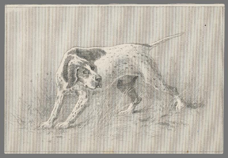 Stredoeurópsky grafik z 19. storočia – Pes na stope 