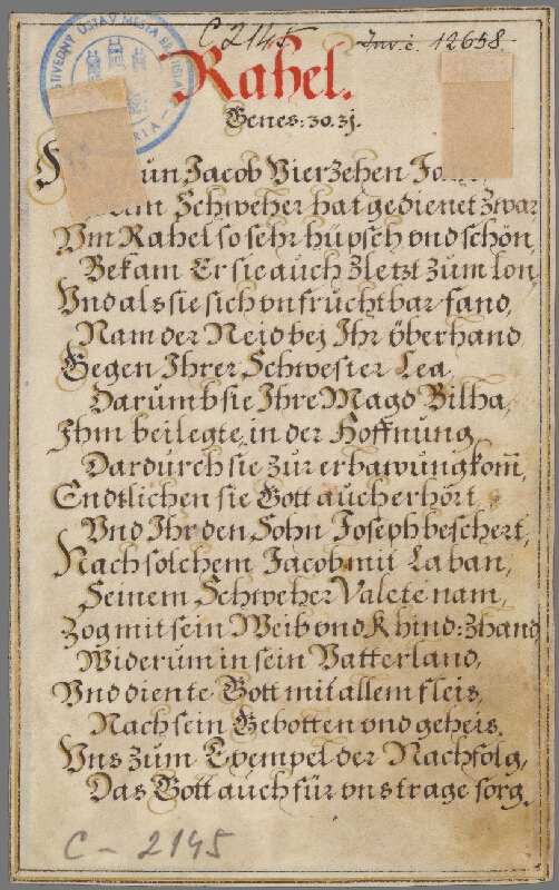 Maarten de Vos st. – Ráhel 