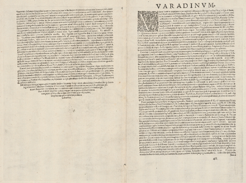 Joris Hoefnagel – Pohľad na Varadín - Oradea 