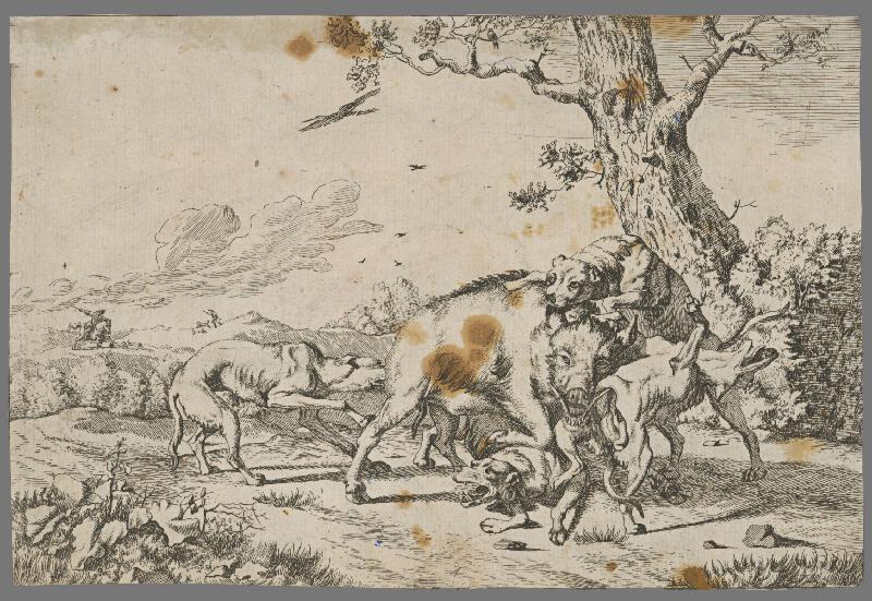 Stredoeurópsky maliar z 18. storočia – Poľovačka na diviaka 