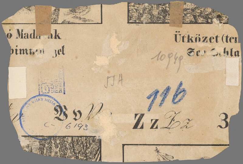 Stredoeurópsky grafik z polovice 19. storočia – Bratislava z juhu 