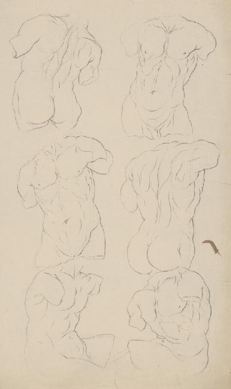 Stredoeurópsky grafik z 19. storočia – Štúdia svalov 