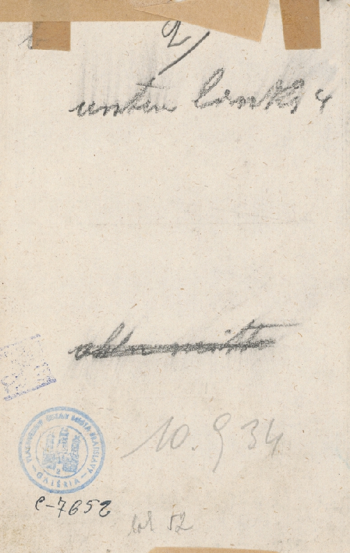 Justus van den Nypoort, Anton Ernst Burckhard von Birckenstein – Bratislava v 18. storočí - pohľad z juhu 