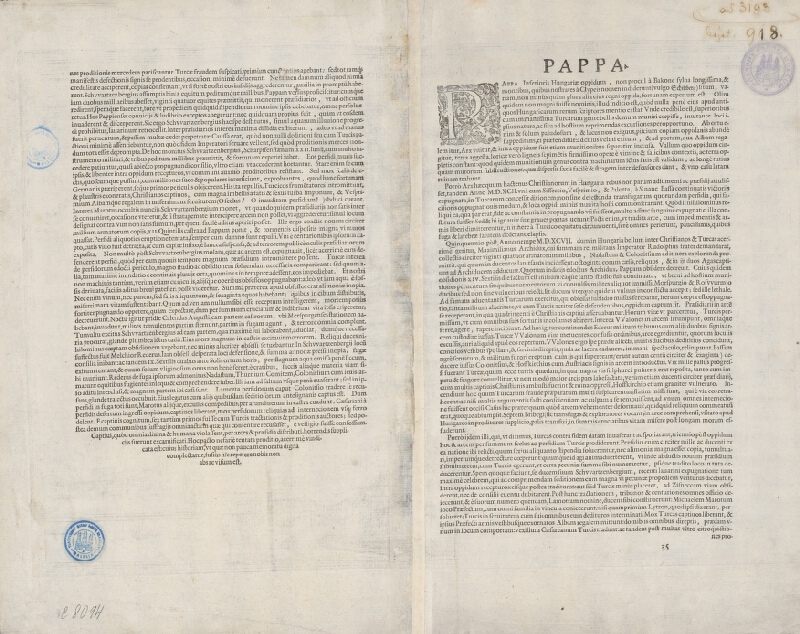 Joris Hoefnagel, Philippo Fernandes – Pohľad na mesto Papa 