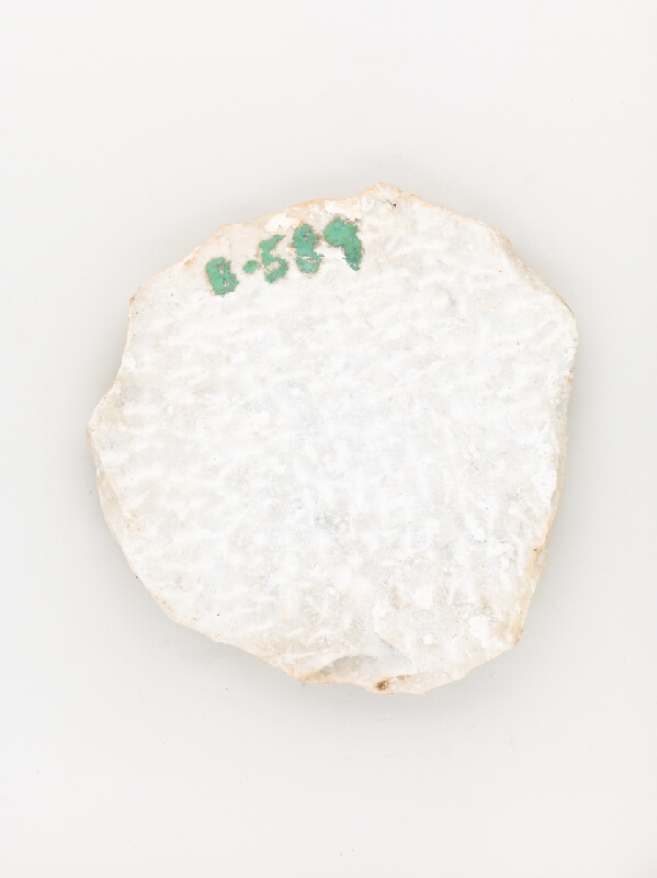 Ján Fadrusz – Vavrínový konár so siluetou Márie Terézie a Bratislavského hradu 