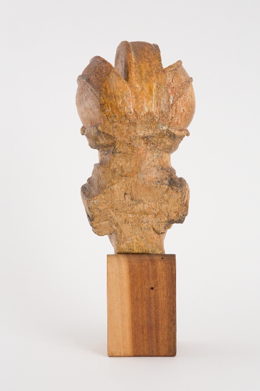 Stredoeurópsky majster z 18. storočia – Hlava svätice 