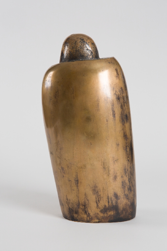 Vojtech Pohanka – Utajená sila 