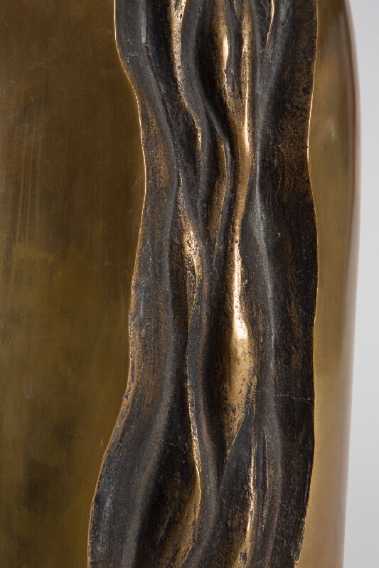 Vojtech Pohanka – Utajená sila 