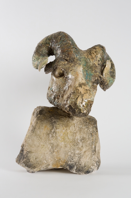 Miroslav Ksandr – Hlava barana 