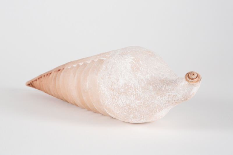 Milica Podstrelencová – Trilobity I. 