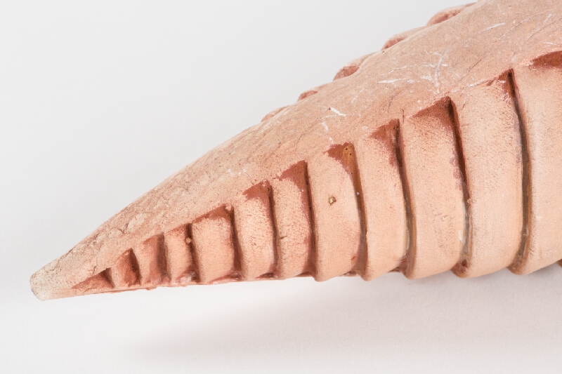 Milica Podstrelencová – Trilobity I. 