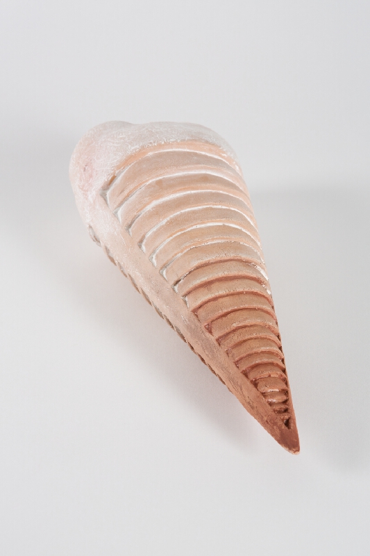 Milica Podstrelencová – Trilobity II. 