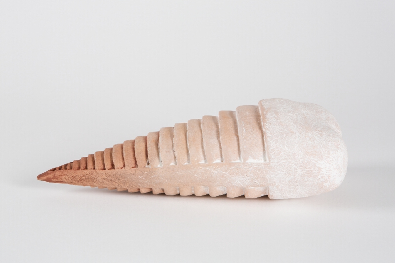 Milica Podstrelencová – Trilobity II. 