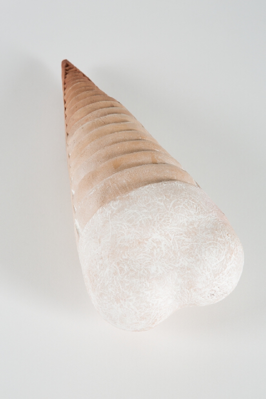 Milica Podstrelencová – Trilobity II. 