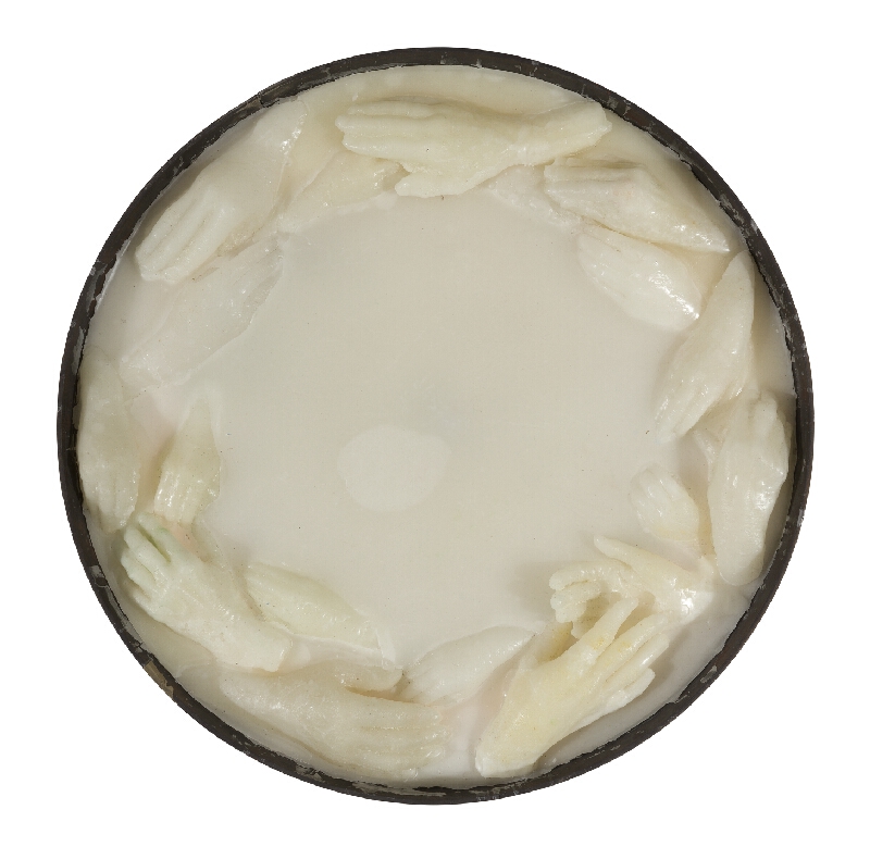 Anna Fedáková – Dotyky 