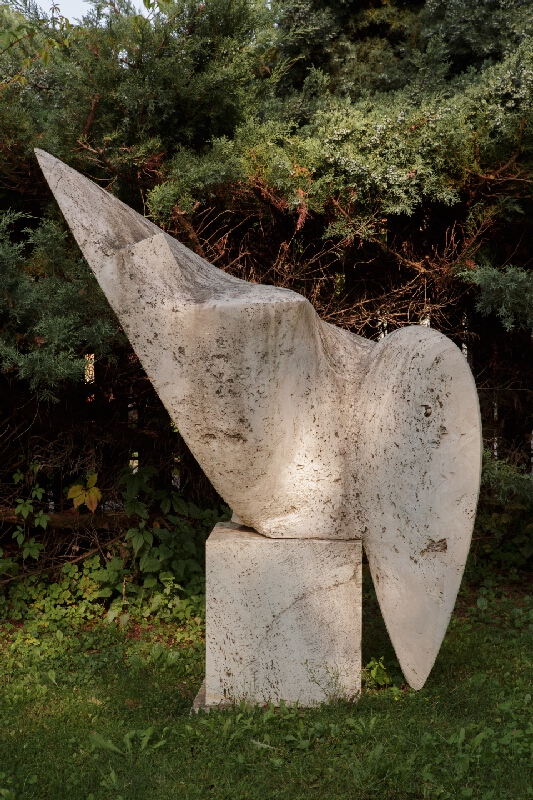 Vasyľ Roman – Nedotknutá 