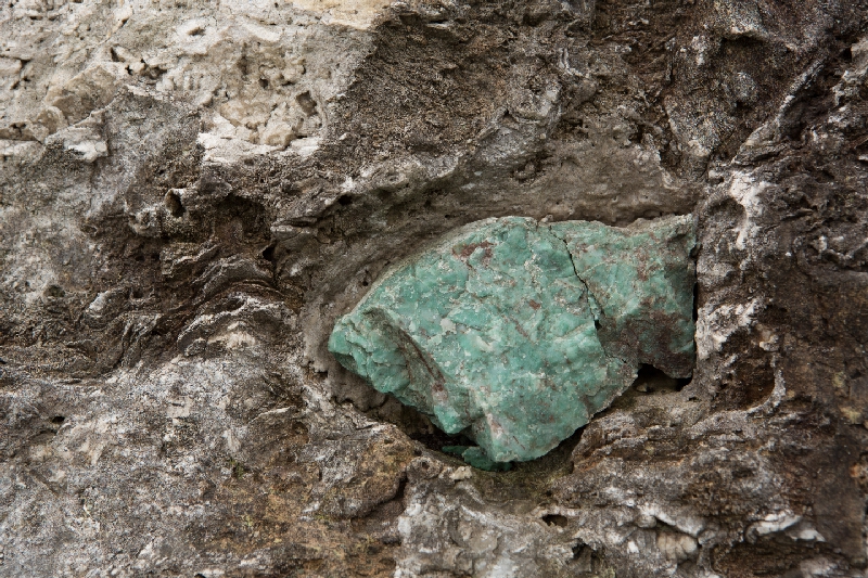 Tomáš Cetera – 2008 