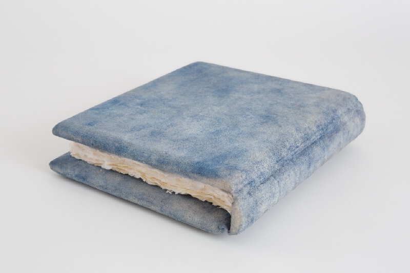 Anna Fedáková – Preniknutie 