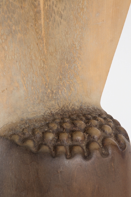 Mikuláš Palko – Odlet I. 