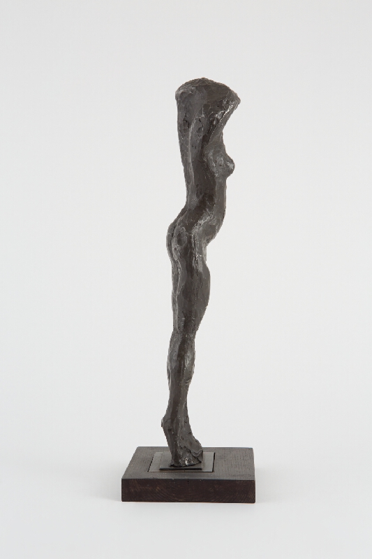 Jan Bauch – Akt 