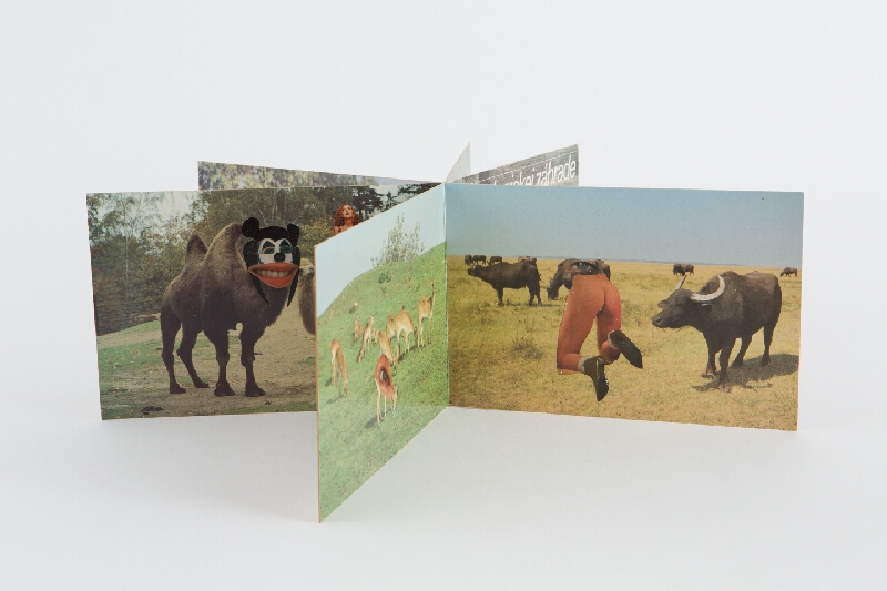 Karol Baron – Beštiofilné ZOO II. 
