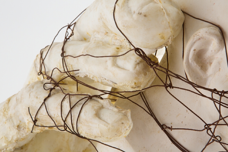 Robert Szittay – V ruke Boha 