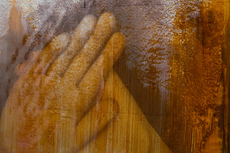 Jana Hojstričová, Palo Macho – Rodinný scan 