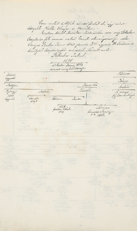 Adolf Medzihradský – Erb rodiny Čaplovičovcov 