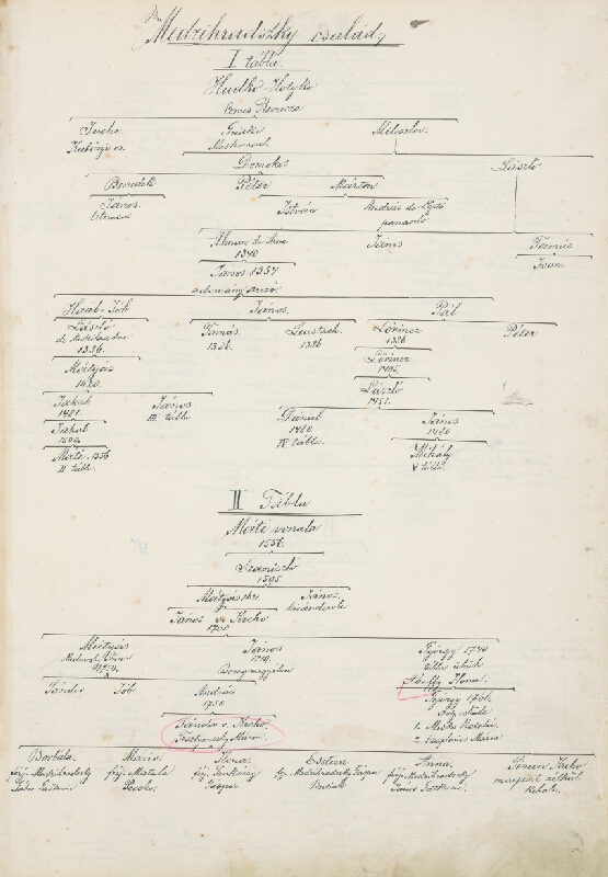 Adolf Medzihradský – Erb rodiny Medzihradskej 