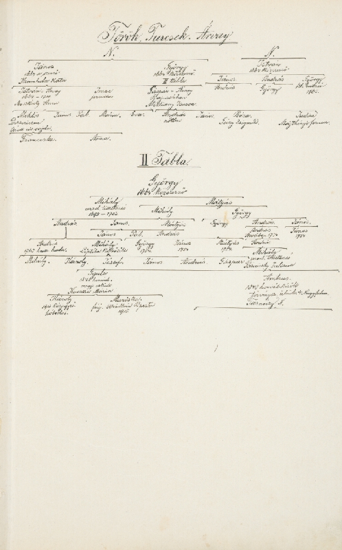 Adolf Medzihradský – Erb rodiny Törökovej-Turcsekovej 