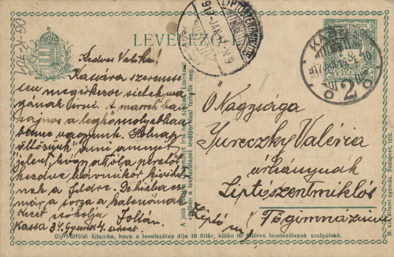 Zolo Palugyay – Štúdia stromov 