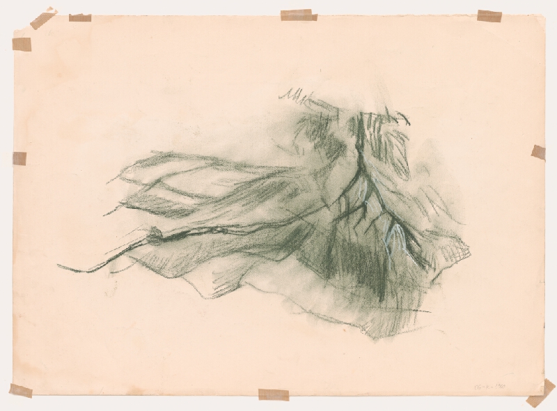 Mária Medvecká – Zázrivá - Grúne - júl 1981 IV. 