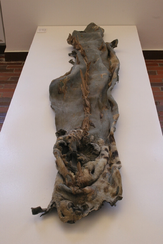 František Skála jr. – Kůže z draka 