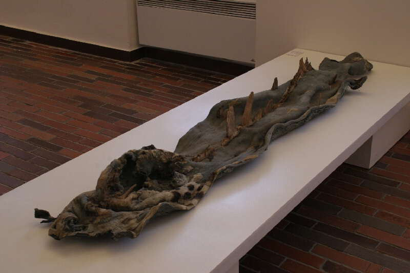 František Skála jr. – Kůže z draka 