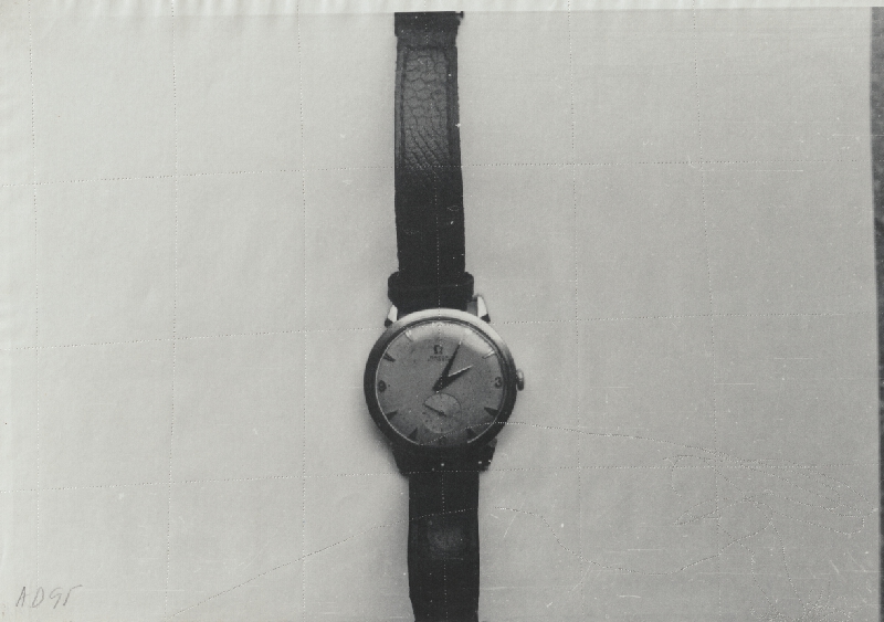 Anna Daučíková – Bez názvu (1) 