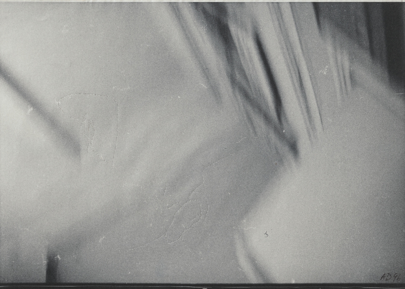 Anna Daučíková – Bez názvu (5) 