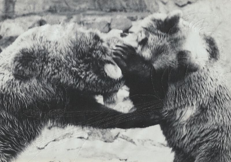 Anna Daučíková – Bez názvu (6) 