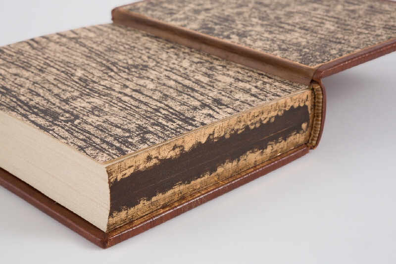 Jan Vrtílek – Orbis senzualium pictus 