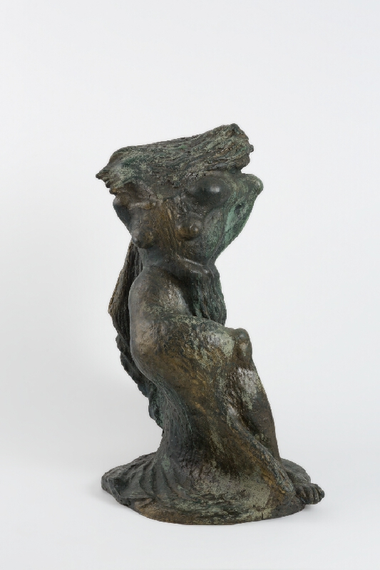 Dušan Pončák – Sen 