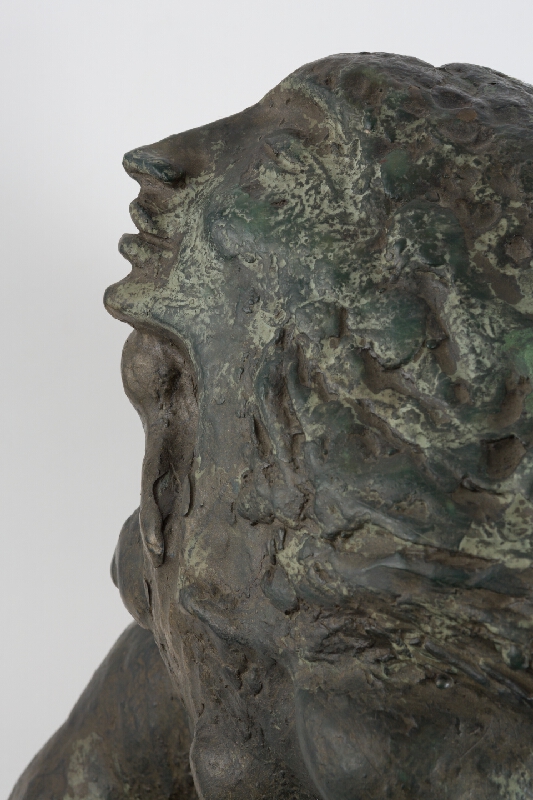 Dušan Pončák – Sen 