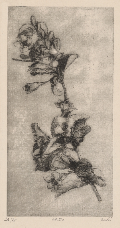 Fero Kráľ – Rozkvitnutá ratolesť, 1954, Stredoslovenská galéria 
