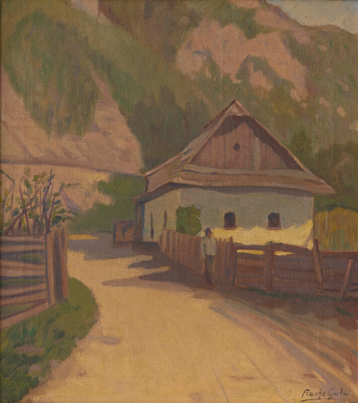 Július Flache – Okolie Donoval 