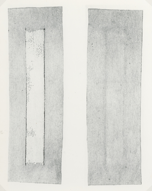 Stanislav Filko, Miloš Laky, Ján Zavarský – SENSITIVITET – I. – BIELA VERTIKAL – FILC + VALEK (WHITE SPACE IN WHITE SPACE)  