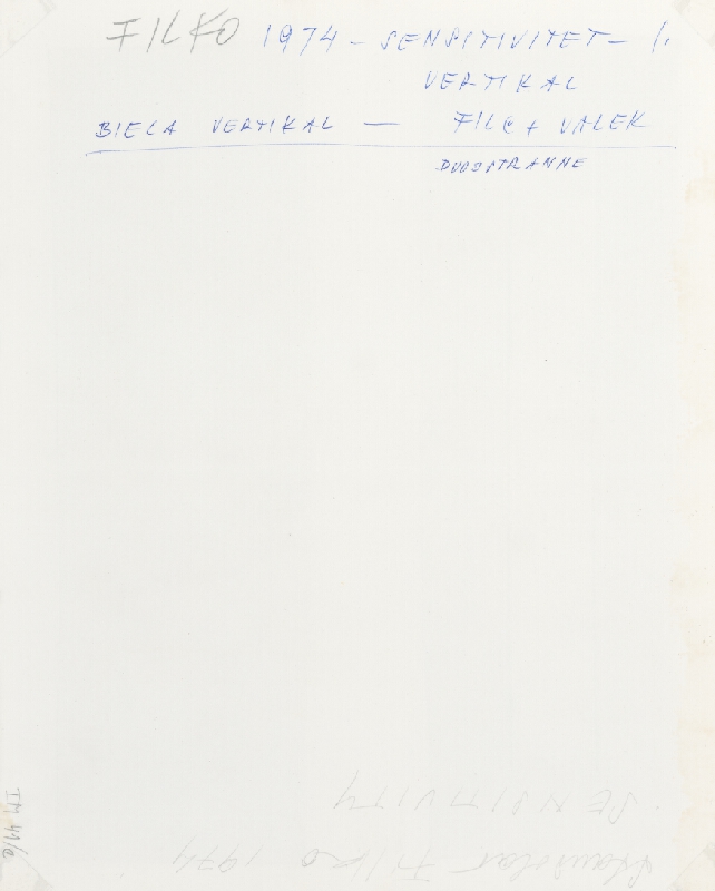 Stanislav Filko, Miloš Laky, Ján Zavarský – SENSITIVITET – I. – BIELA VERTIKAL – FILC + VALEK (WHITE SPACE IN WHITE SPACE)  