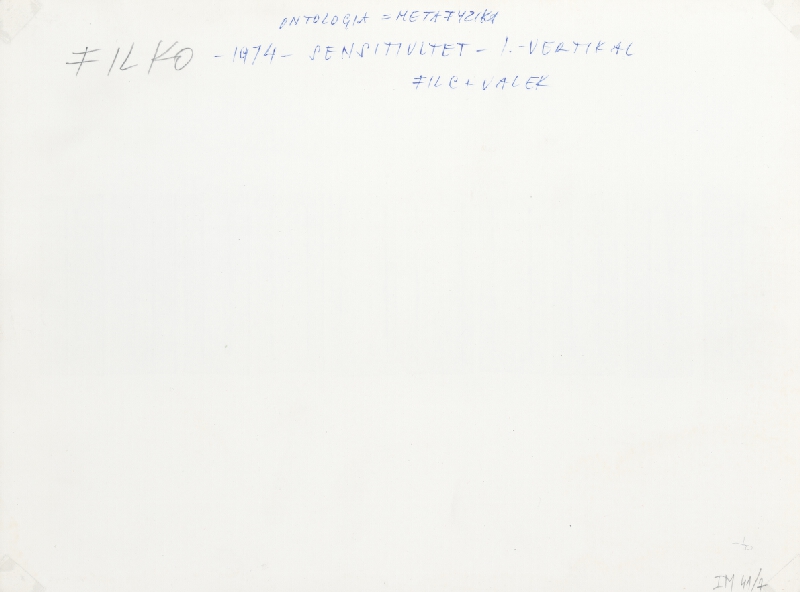 Stanislav Filko, Miloš Laky, Ján Zavarský – SENSITIVITET – I. – VERTIKAL – FILC + VALEK (WHITE SPACE IN WHITE SPACE)     