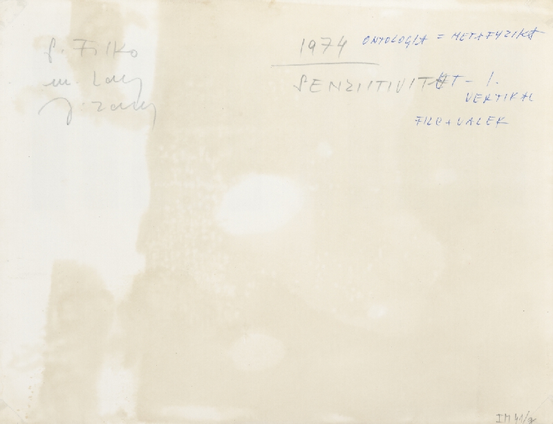 Stanislav Filko, Miloš Laky, Ján Zavarský – SENSITIVITET – I. – VERTIKAL – FILC + VALEK (WHITE SPACE IN WHITE SPACE)     