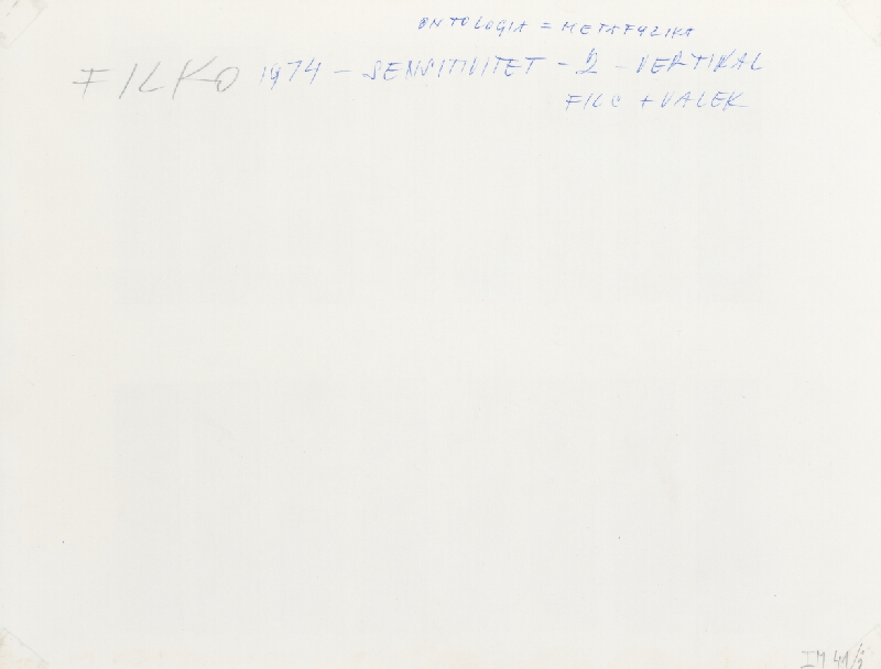 Stanislav Filko, Miloš Laky, Ján Zavarský – SENSITIVITET – 2 – VERTIKAL – FILC + VALEK (WHITE SPACE IN WHITE SPACE)    