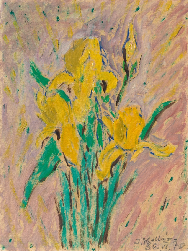 Jozef Kollár – Kosatce 